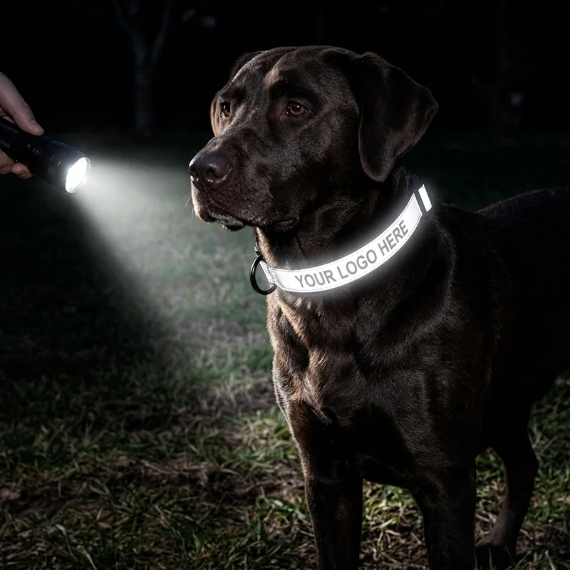 Collare Riflettente per Animali Domestici Personalizzato 3