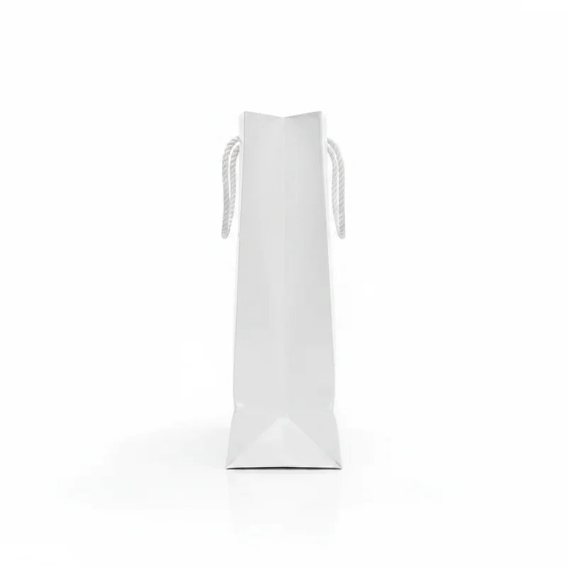 Summit Gloss Shopping Bag 3