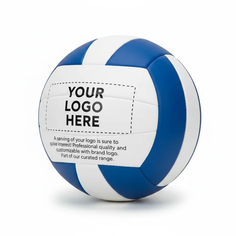 Summit Synthetic Leather Volleyball 2